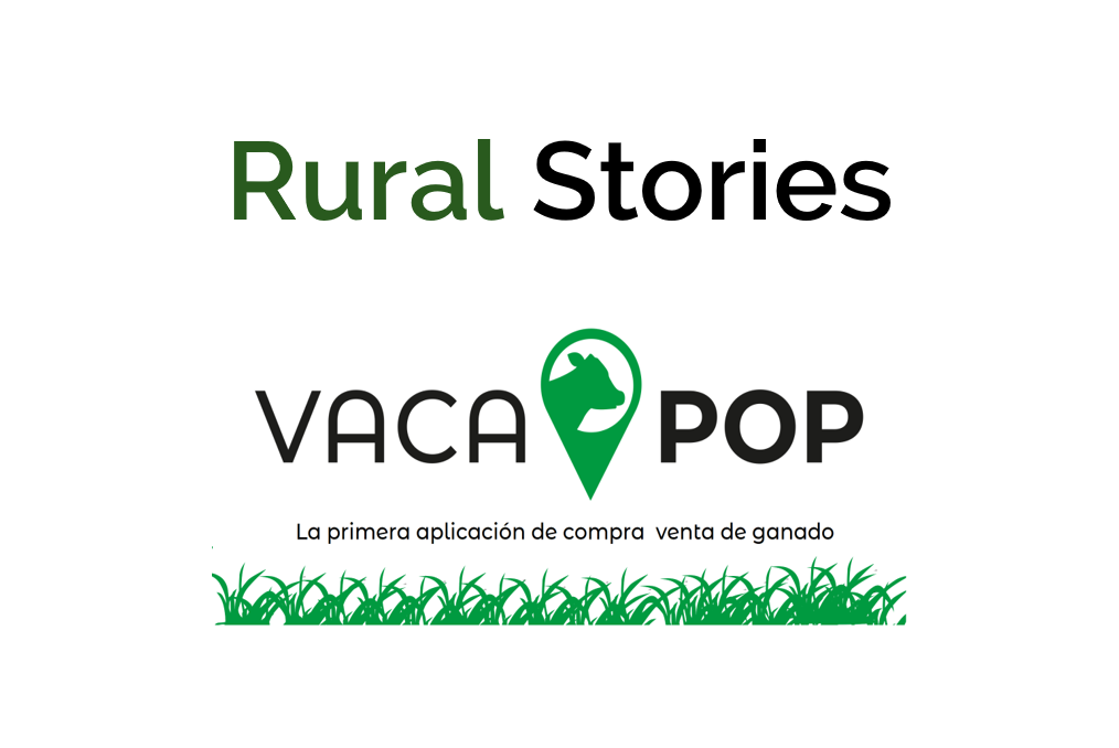 Lee más sobre el artículo Episodio 2. VacaPop, la primera aplicación de compra venta de ganado